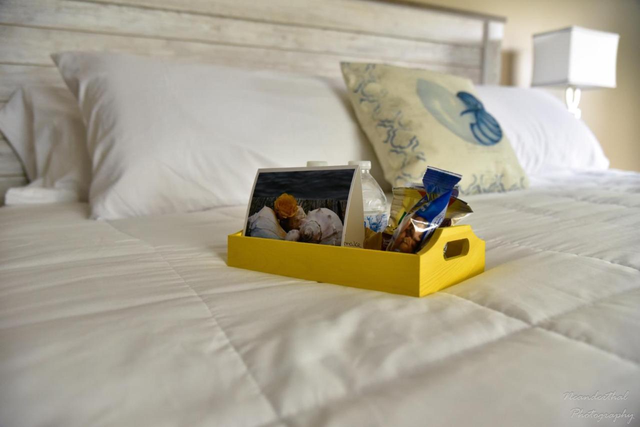 The Yellow Rose Of Talbot Bed And Breakfast Easton Extérieur photo